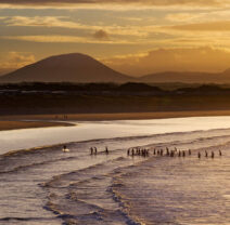 football-team-in-the-sea-1 (1)