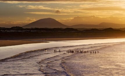 football-team-in-the-sea-1 (1)