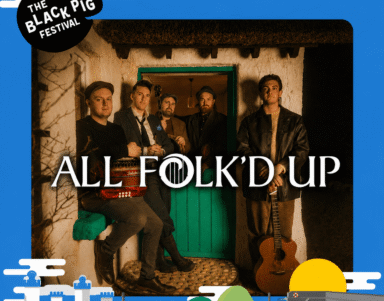 Guests enjoy live folk music at cosy hotel event, featuring traditional instruments and rustic charm in inviting setting.
