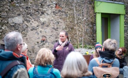 Guests enjoy a guided outdoor tour beside a rustic stone wall with vibrant green door, offering cultural insights and history.